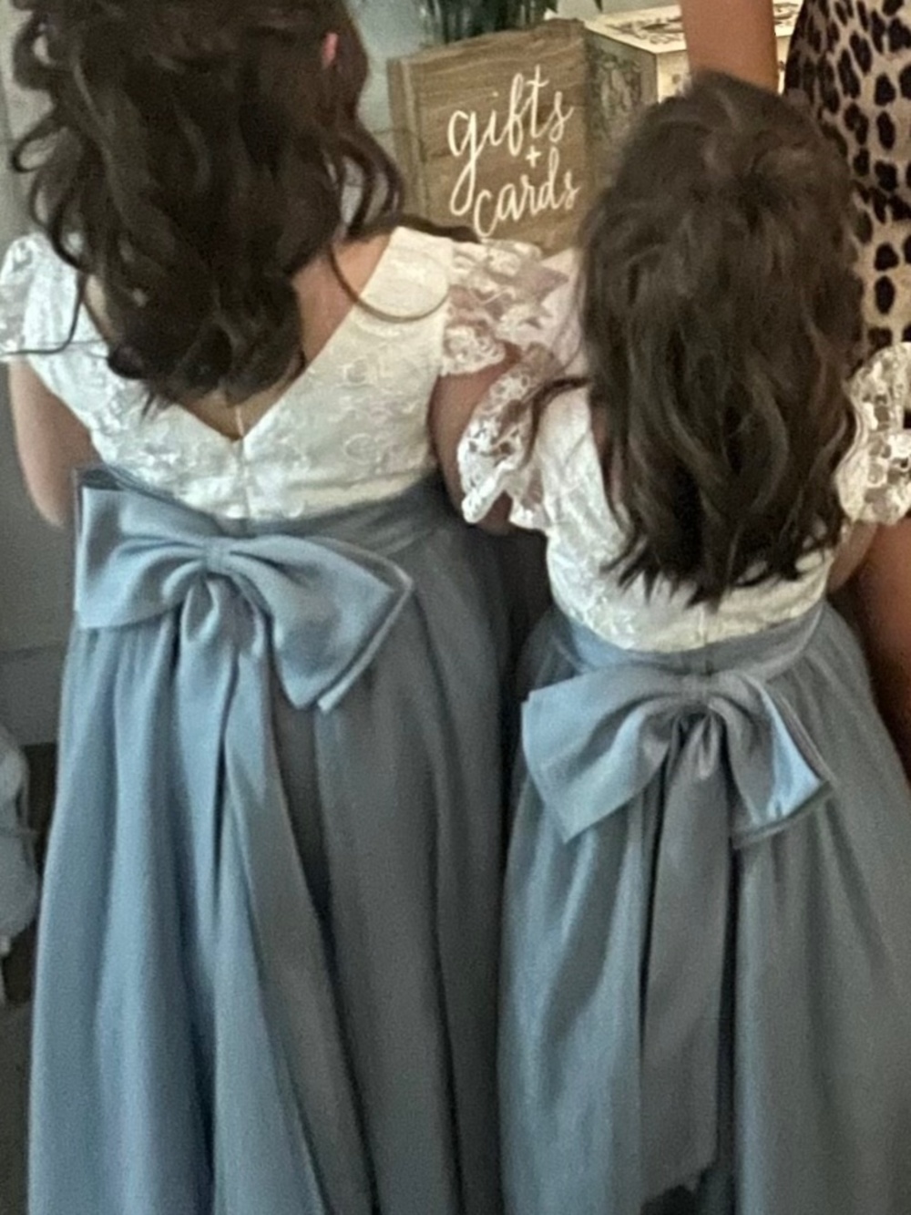 ✨ Flower Girl Dresses (2) – Beautiful! ✨